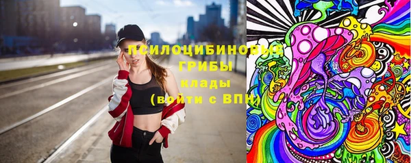 твердый Алзамай