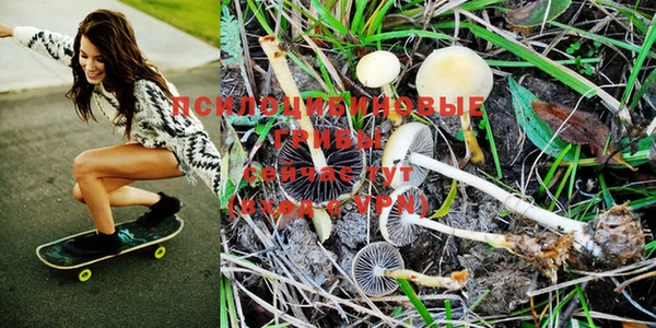 PSILOCYBIN Абаза
