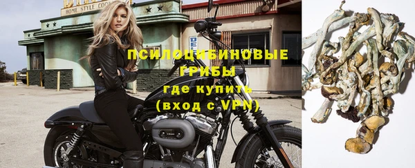 амф Алексин