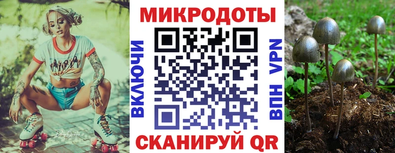 кракен   купить  сайты  Солигалич  Галлюциногенные грибы ЛСД 
